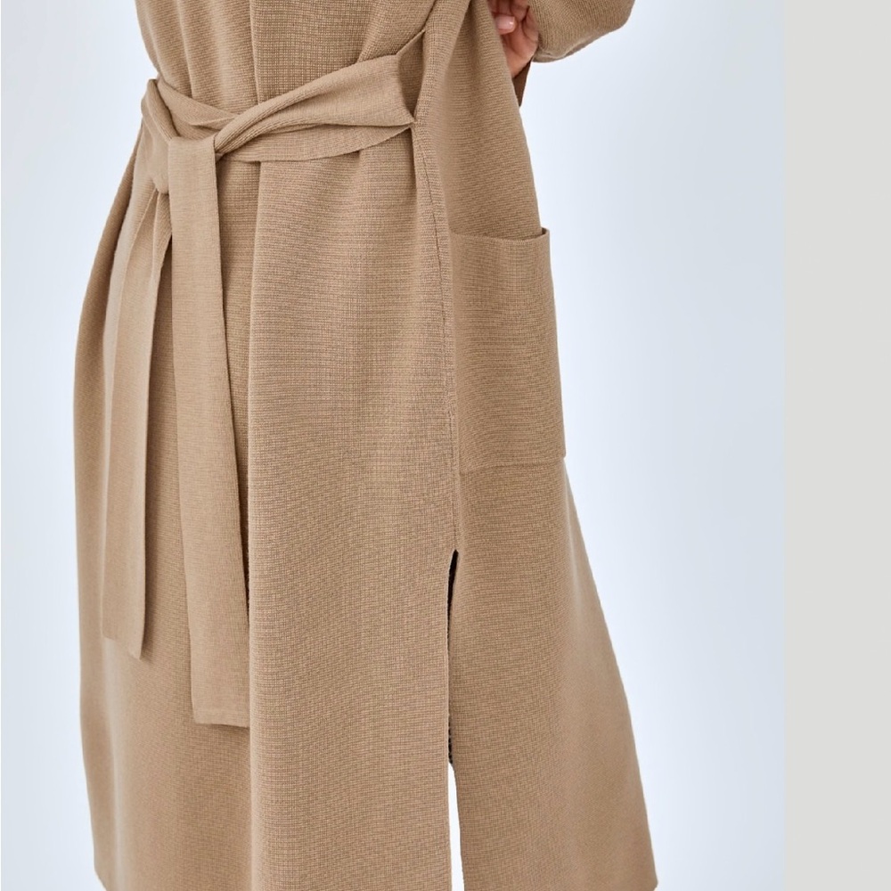 Wilfred Cozy Tan Long Sleeve Dress - Picture 5 of 14
